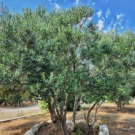 Apartman Izzy's Olive Garden Escape Orebić